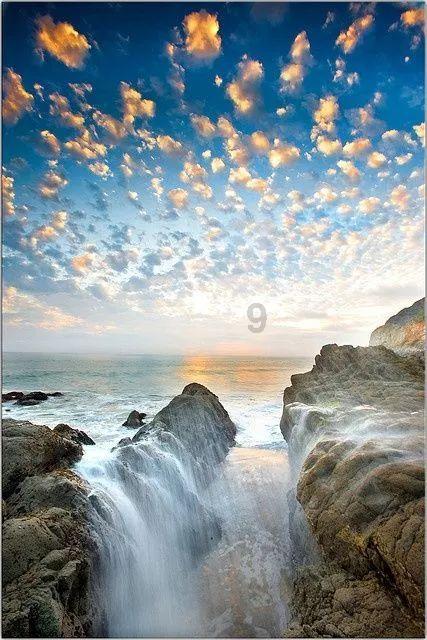 【券商聚焦】第一上海升新东方(09901)目标价至83.7港元 指其为转型最成功公司 长期看好发展前景